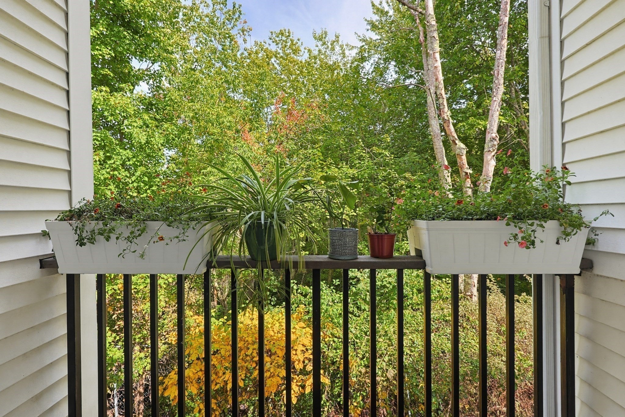 117 Tall Oaks Dr #G, Weymouth, MA, 117 Tall Oaks Dr #G, Weymouth, MA Photo #15