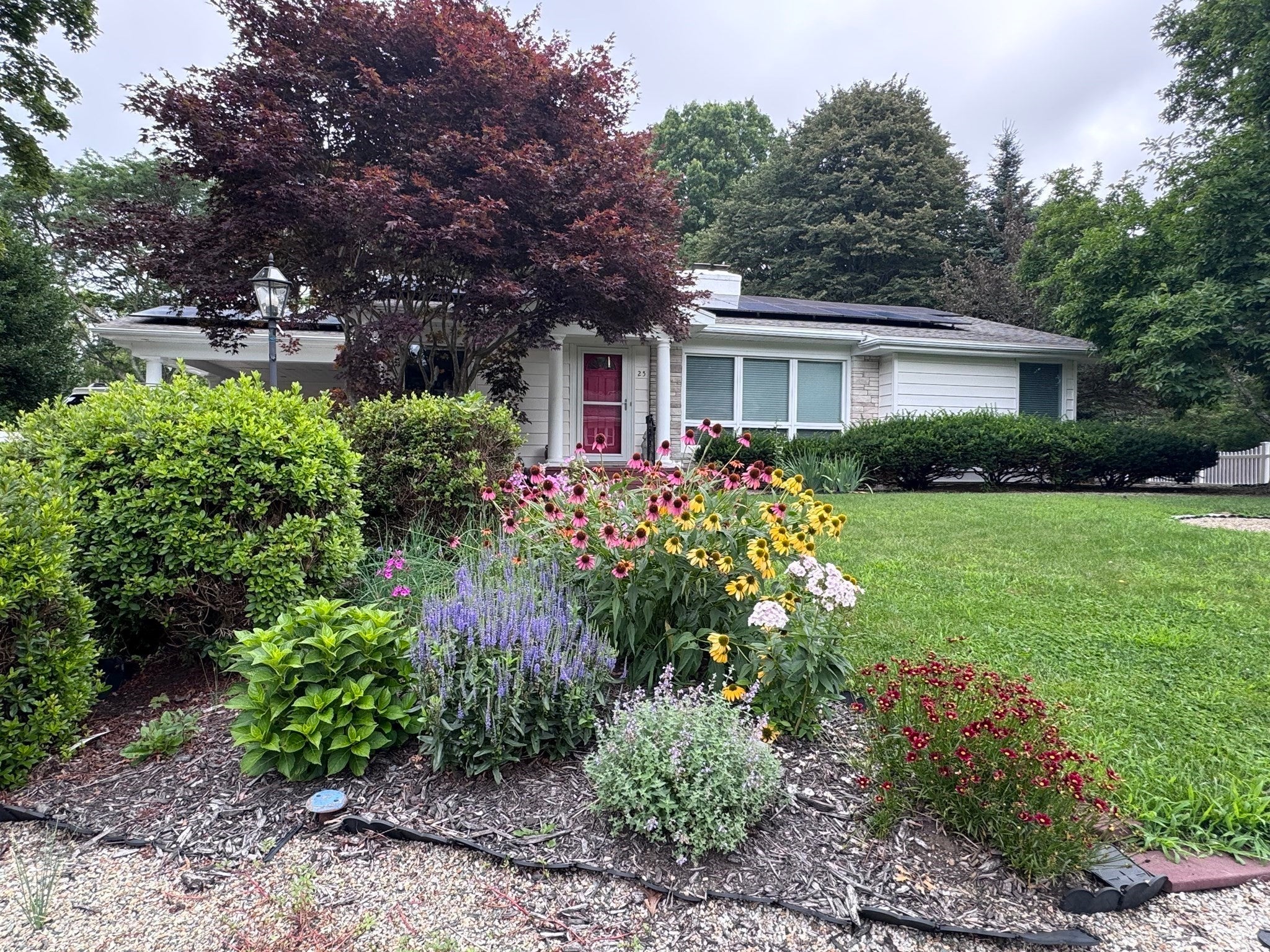 25 Wayne Memorial Dr