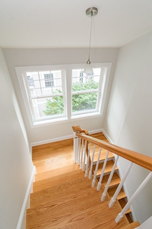 5 Oakdale Avenue, Wellesley, MA, 5 Oakdale Avenue, Wellesley, MA Photo #22