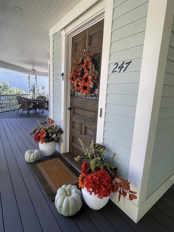 247 Main Street