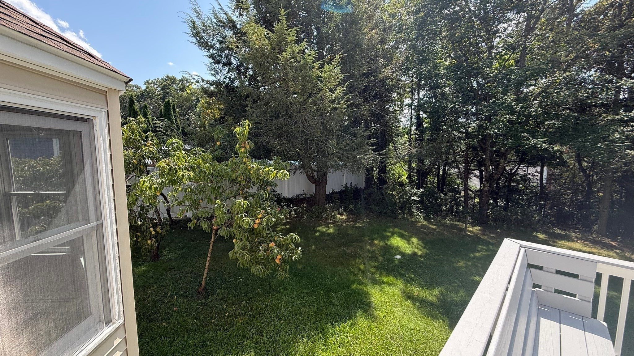 15 Tammie Road, Hopedale, MA, 15 Tammie Road, Hopedale, MA Photo #27