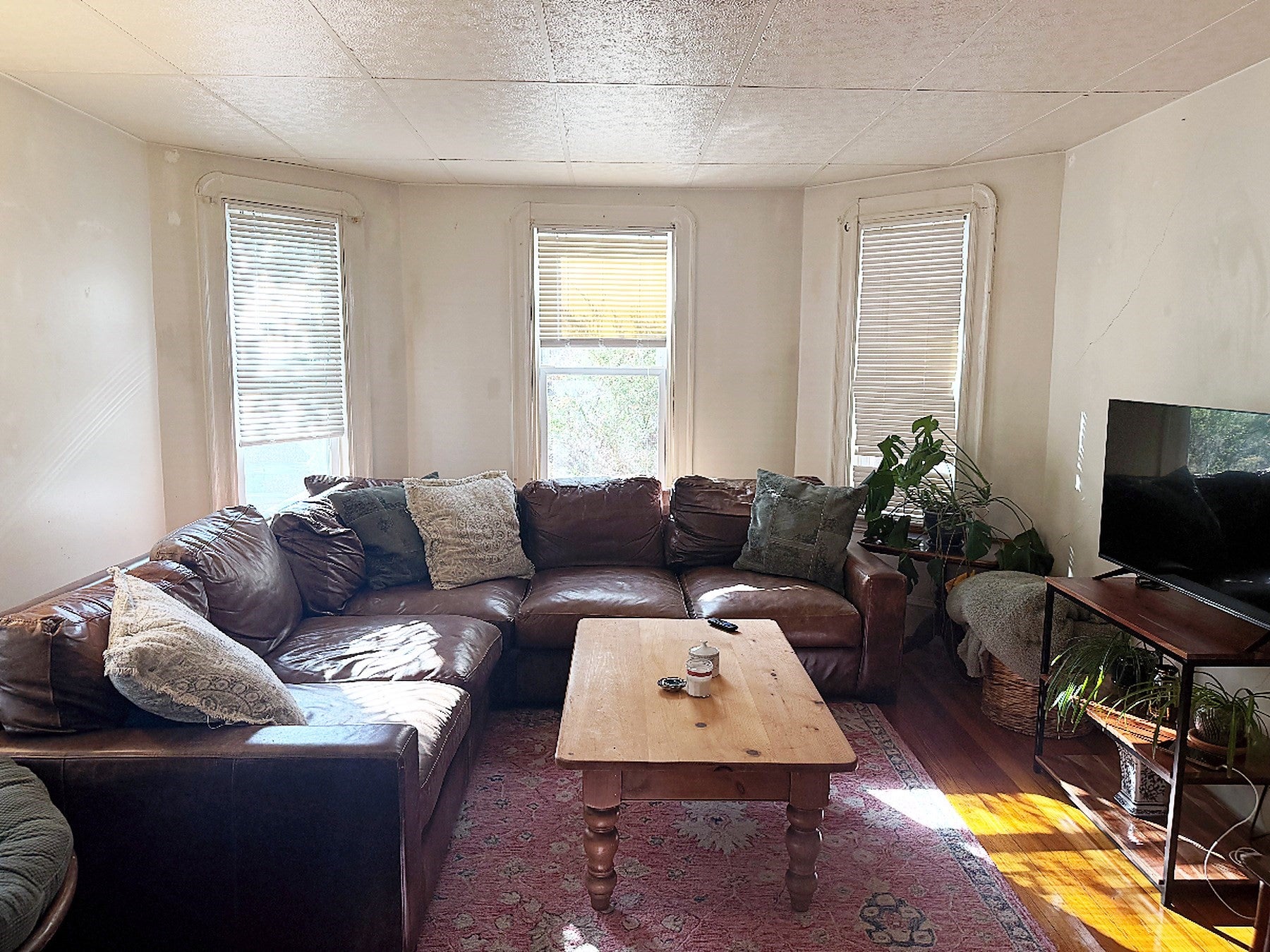 34 Holyoke Road