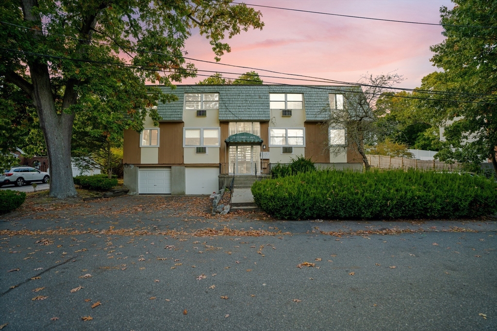 29 Oconnell Ave