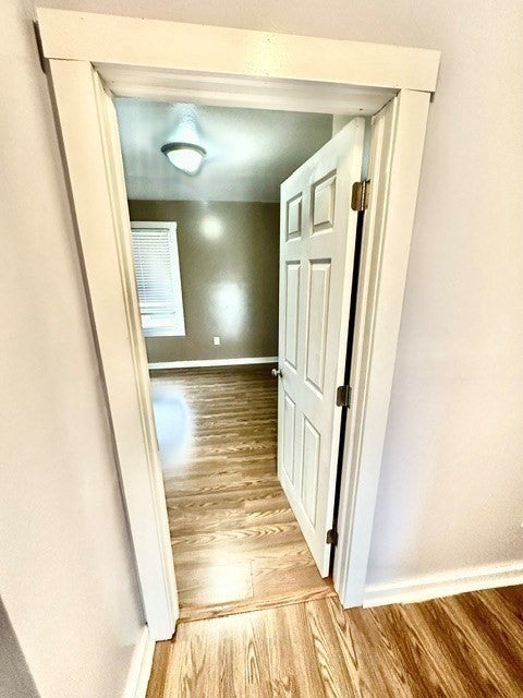 65 Rochelle St, Springfield, MA, 65 Rochelle St, Springfield, MA Photo #24