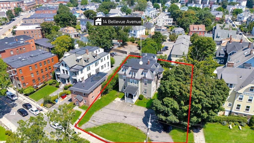14 Bellevue Street