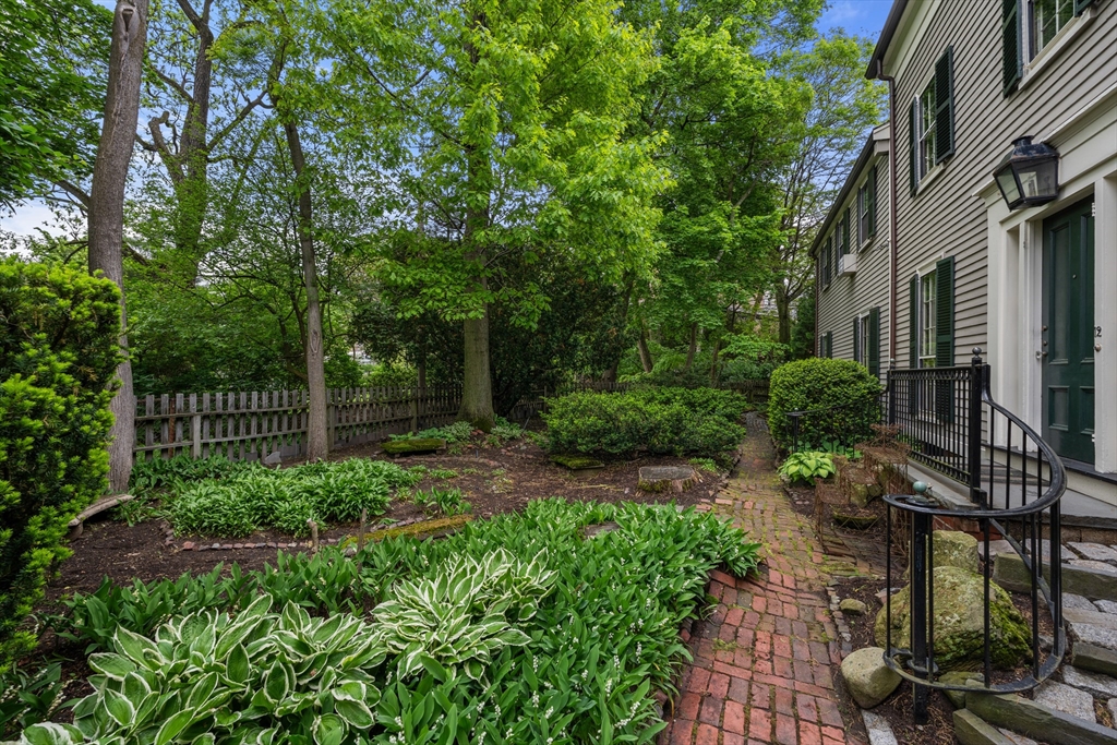 12 Ash Street Place