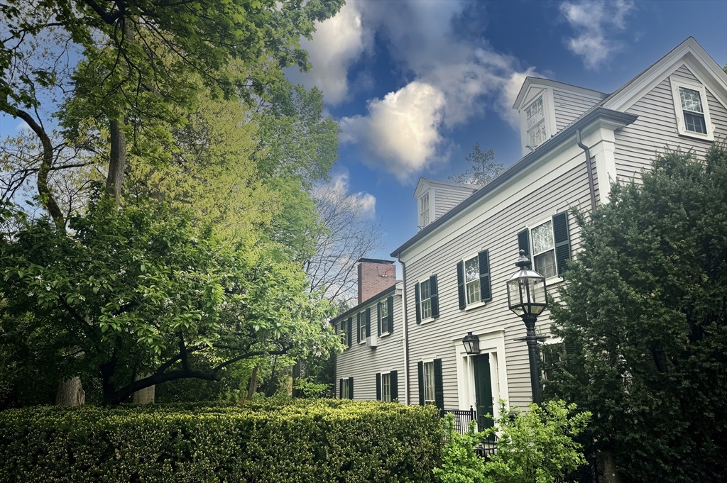 12 Ash Street Place