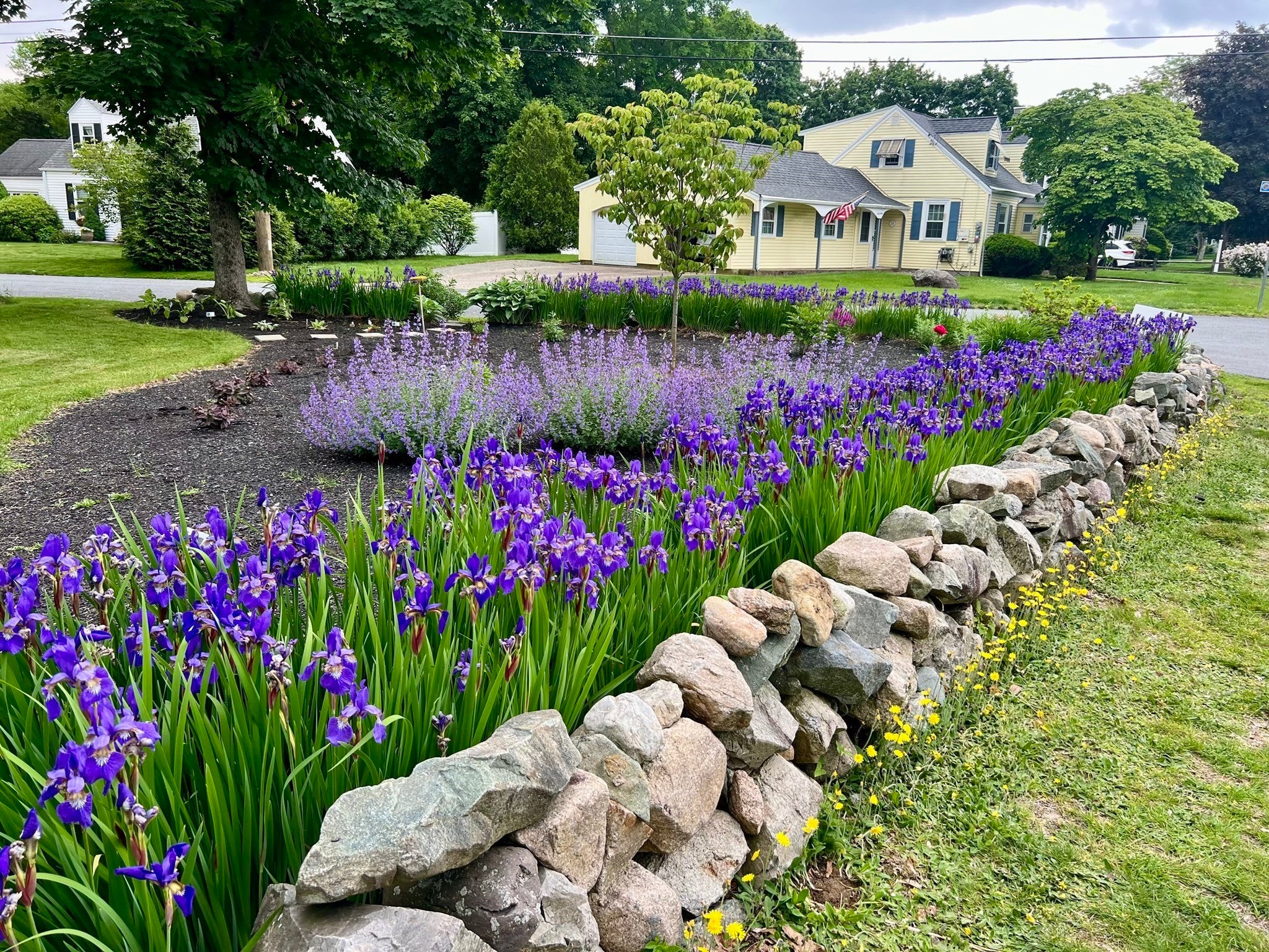 15 Lowell Mason Rd, Medfield, MA, 15 Lowell Mason Rd, Medfield, MA Photo #39
