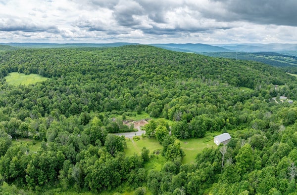 97 MAIN RD, SAVOY, MA 01256 - Image ec95fb7a00a64b9ab16ab6bd8aaef1a5/379438873