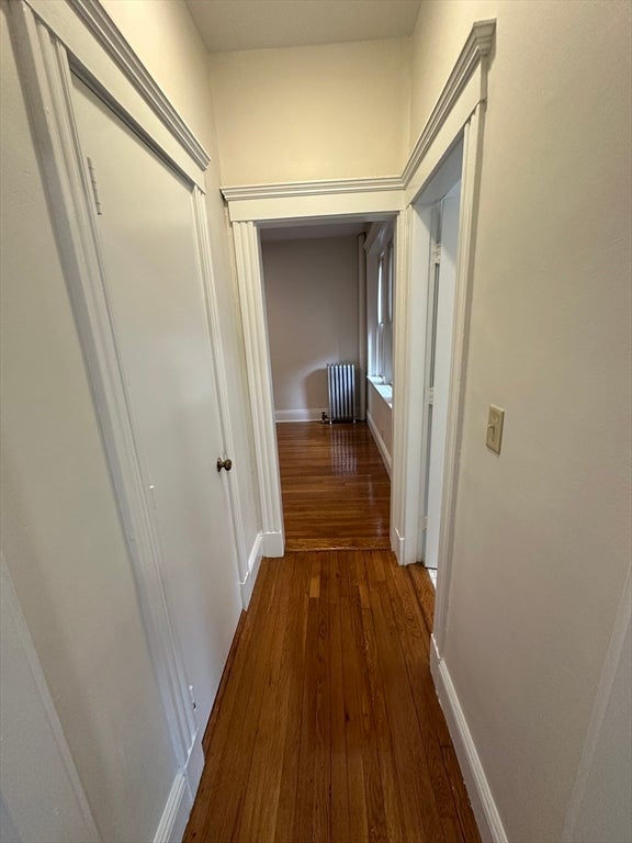 1 Craigie St #4, Cambridge, MA Photo #6