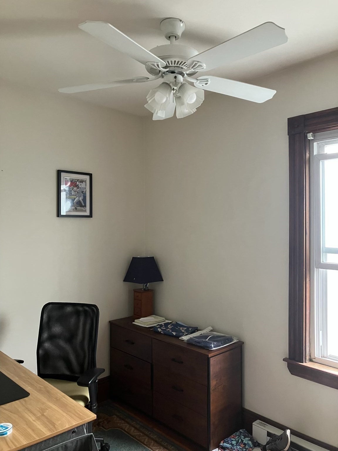 12 Howell Street #3, Boston, MA Photo #7