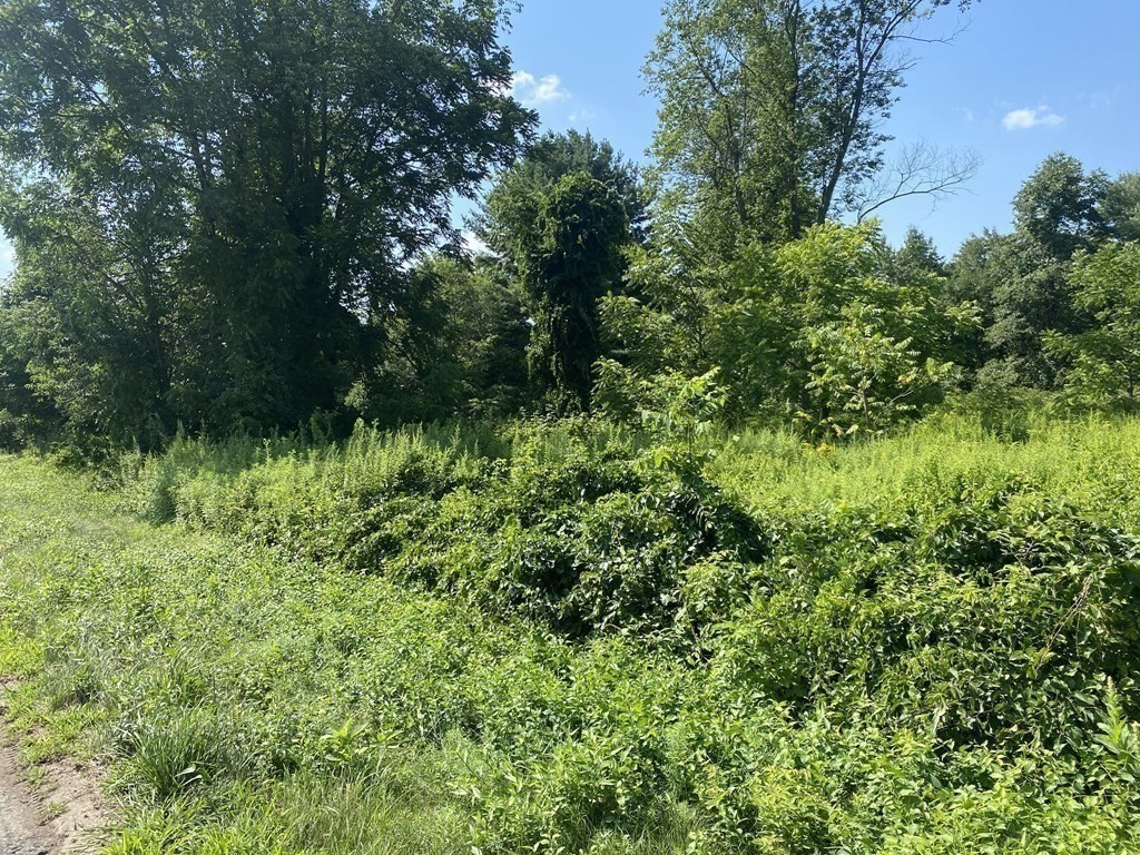 Photo 2 of 9 of 431 Lower Hampden Rd land