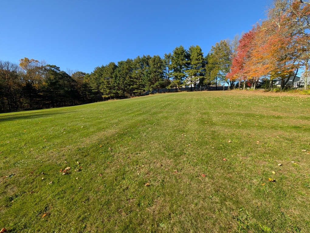 216 Brookfield Rd