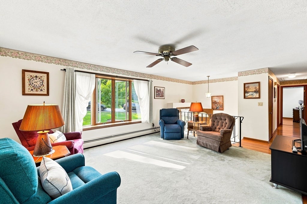 19 Mcintosh Rd
