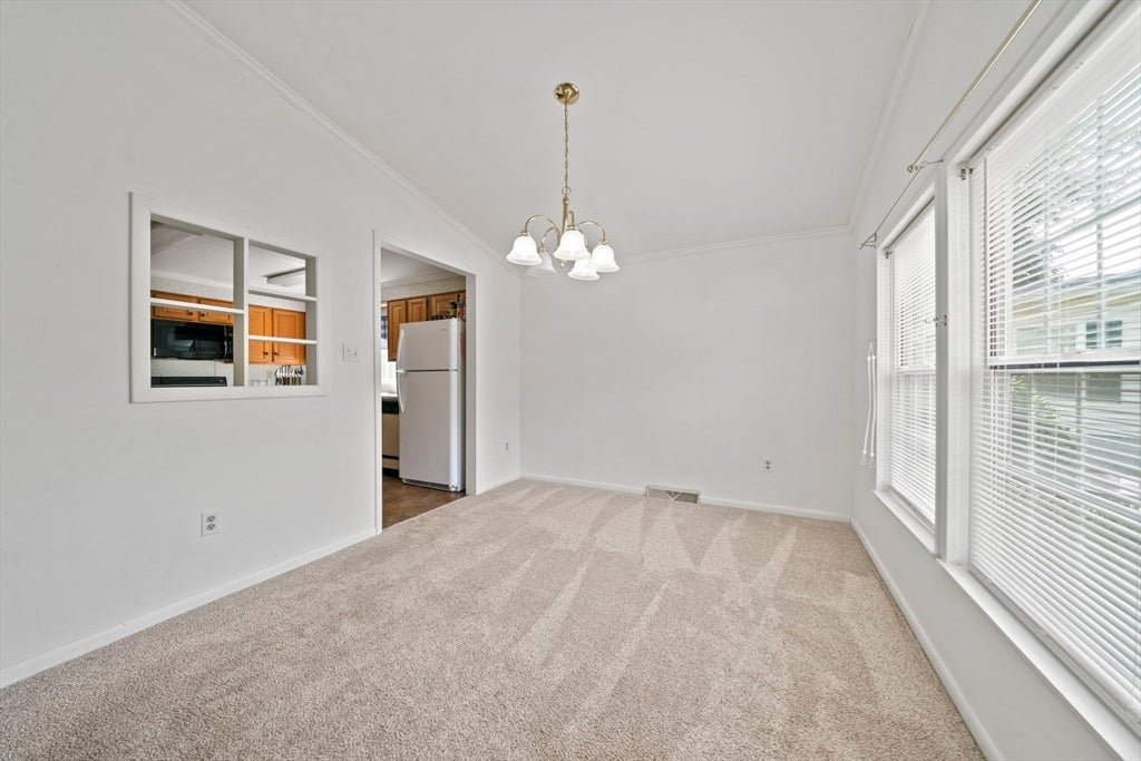 9 Hornbeam