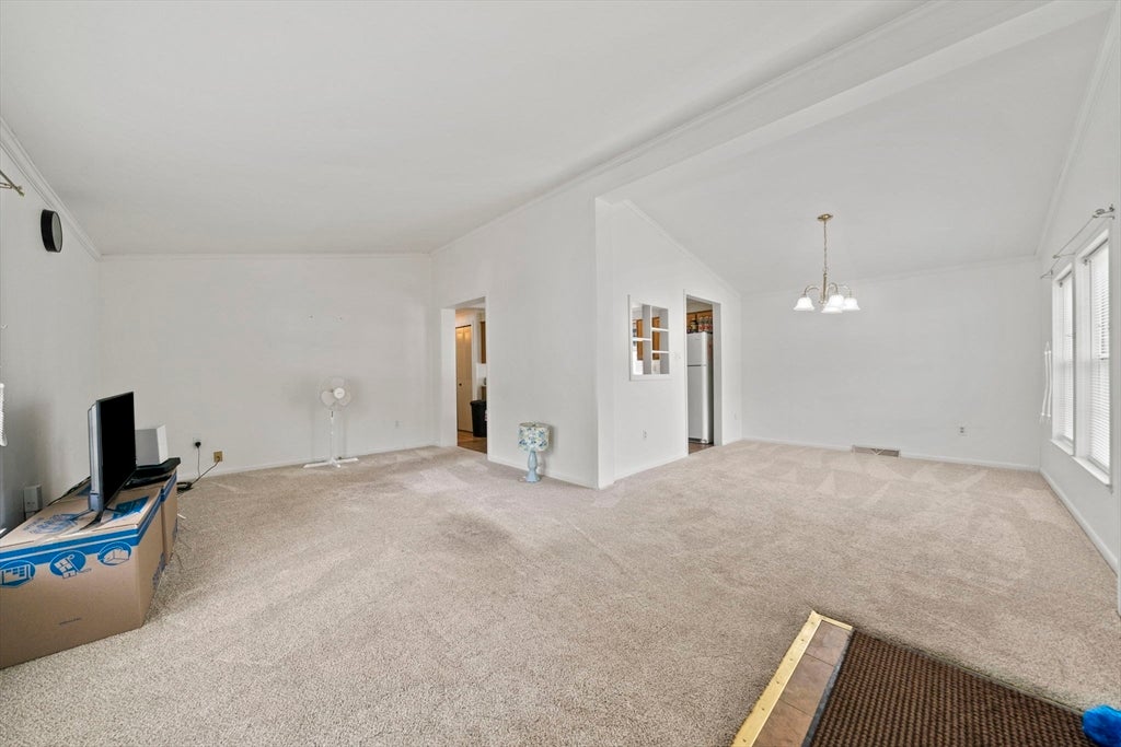 9 Hornbeam