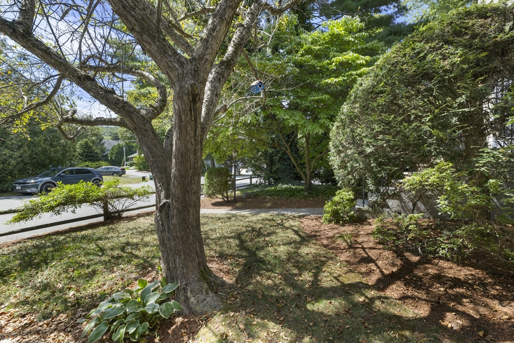 109 Clark Lane