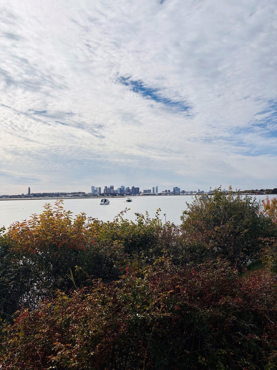 190 Bayswater St, Boston, MA, 190 Bayswater St, Boston, MA Photo #16