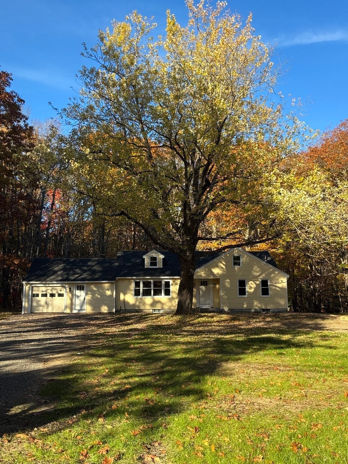 316 Main Road