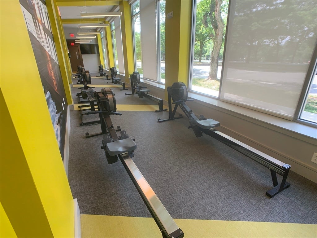 180 Telford St #213, Boston, MA, 180 Telford St #213, Boston, MA Photo #6
