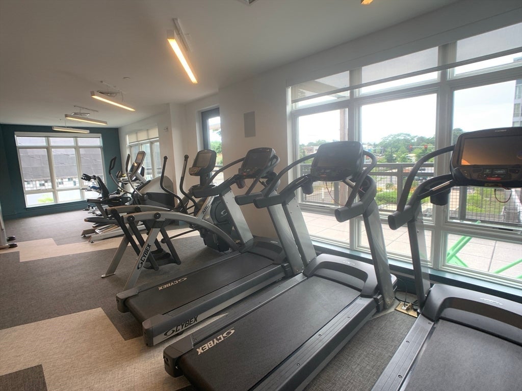 180 Telford St #213, Boston, MA, 180 Telford St #213, Boston, MA Photo #14