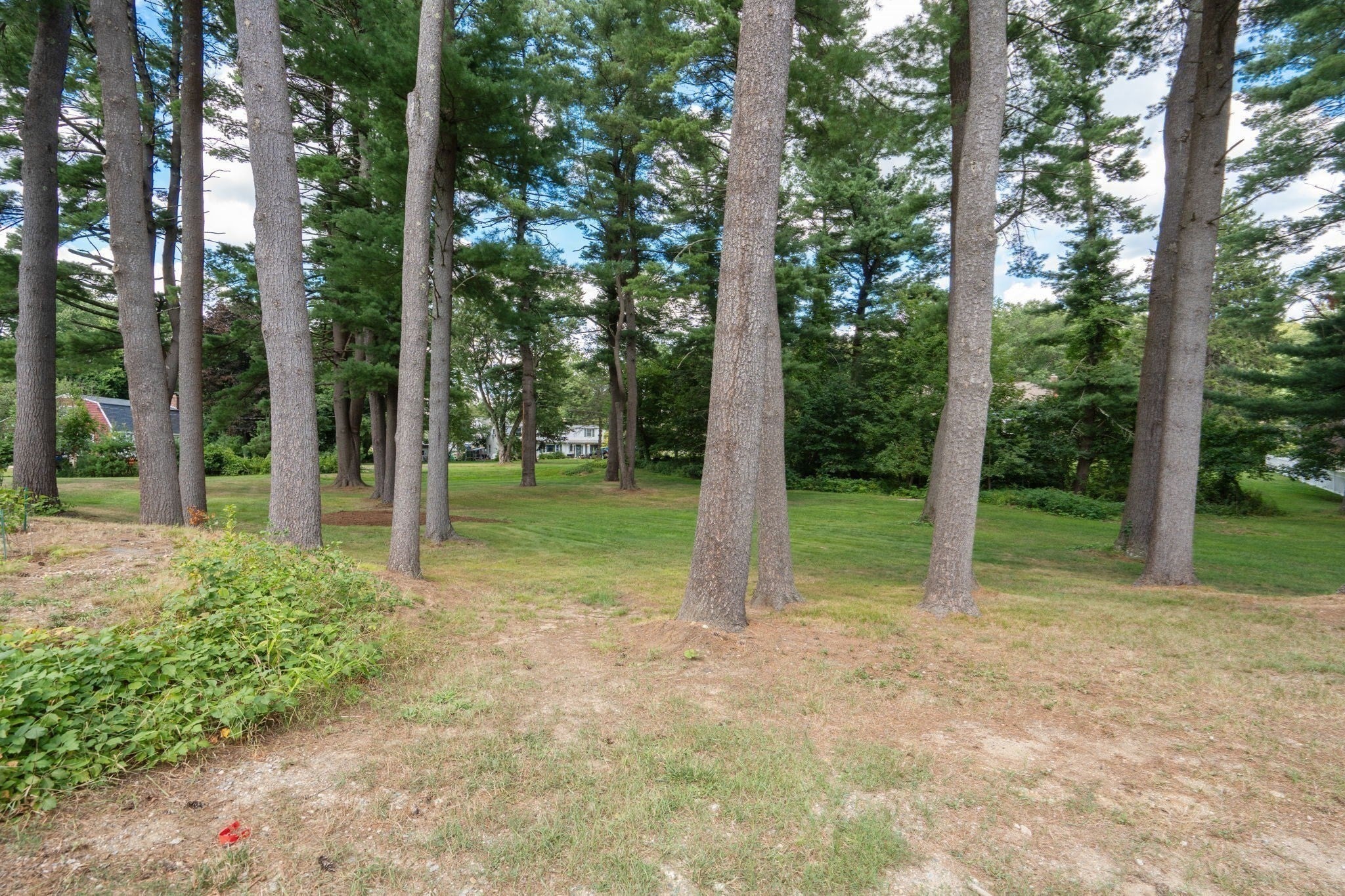 44 Vine Street, Andover, MA Photo #28