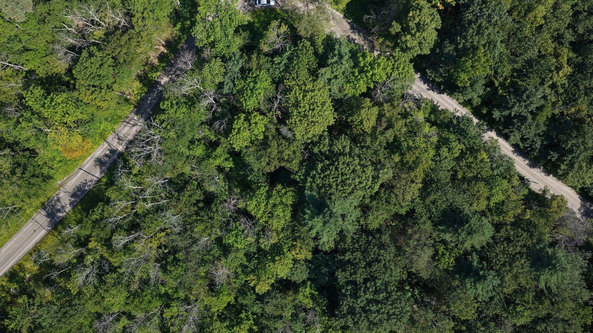 Lot 13 W Hill Road