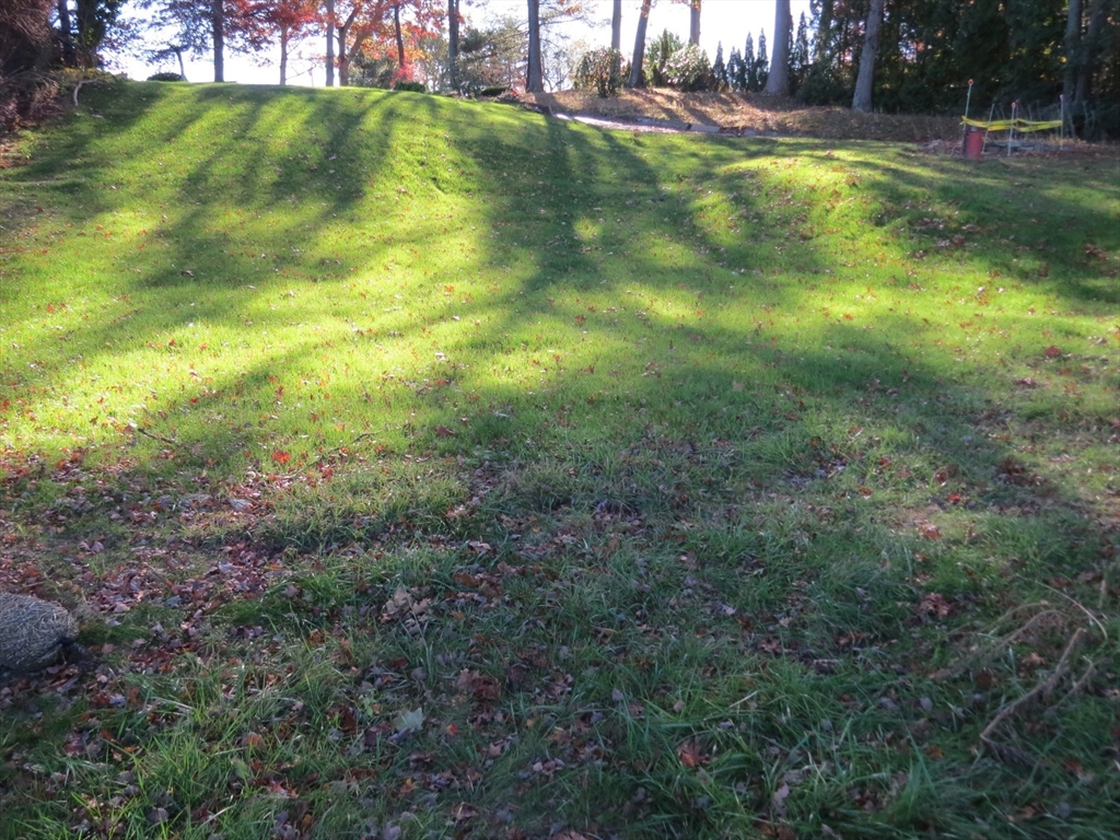90 Macarthur Drive