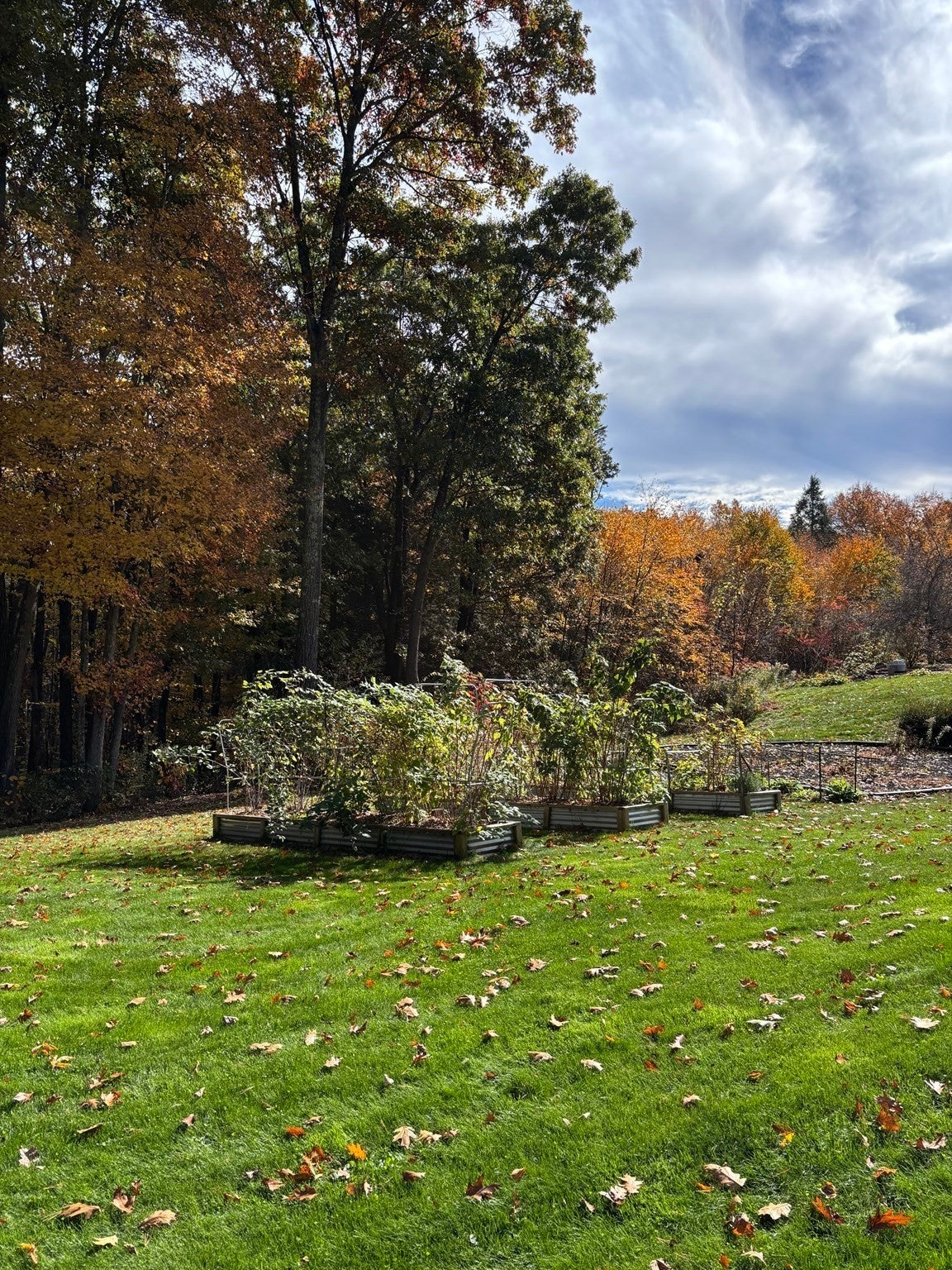 7 Lauren Ln, Sturbridge, MA, 7 Lauren Ln, Sturbridge, MA Photo #9