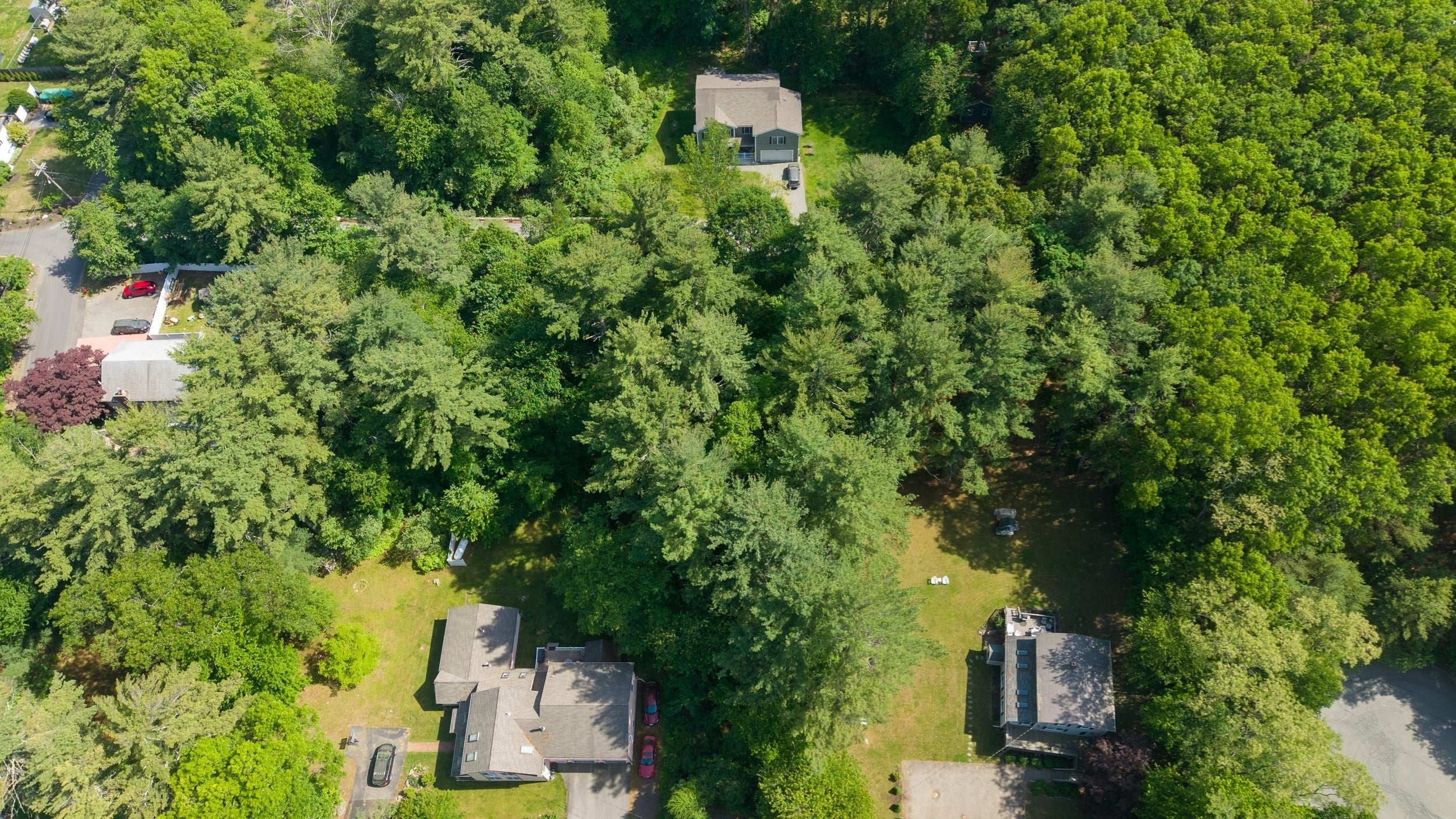 31 Lee Rd