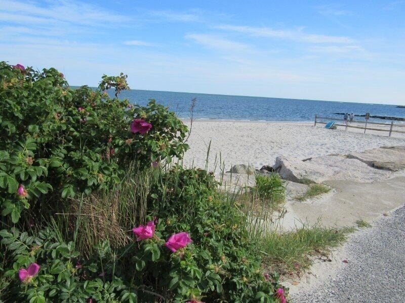 64 Wilfin Rd, Yarmouth, MA, 64 Wilfin Rd, Yarmouth, MA Photo #18