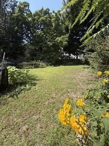 51 Washburn Avenue, Cambridge, MA, 51 Washburn Avenue, Cambridge, MA Photo #24