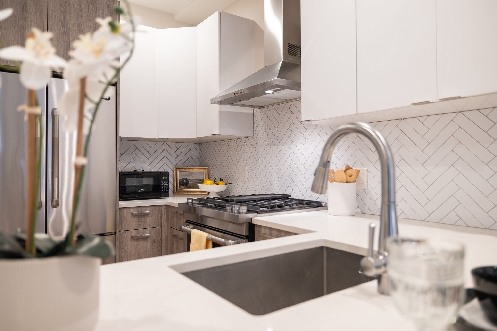 55 E Springfield St #2, Boston, MA, 55 E Springfield St #2, Boston, MA Photo #18