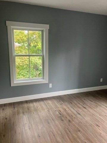 1087 Mass Ave #2, Arlington, MA, 1087 Mass Ave #2, Arlington, MA Photo #7