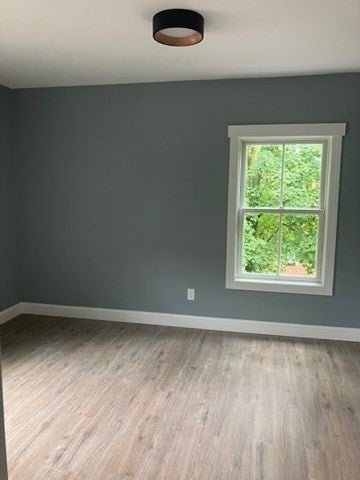 1087 Mass Ave #2, Arlington, MA, 1087 Mass Ave #2, Arlington, MA Photo #9