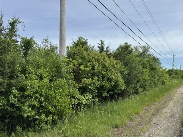 250 West Wrentham Road