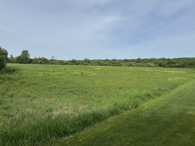 250 West Wrentham Road