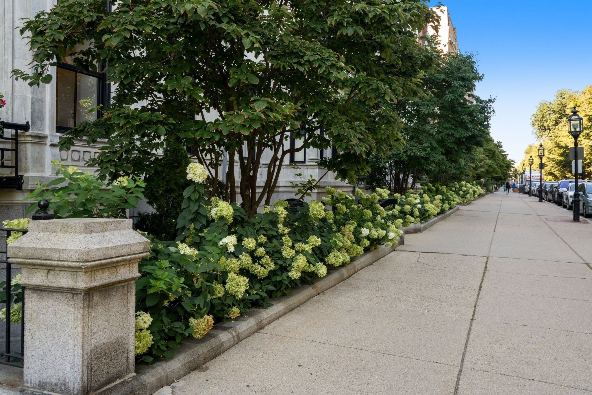 160 Commonwealth Avenue #218, Boston, MA, 160 Commonwealth Avenue #218, Boston, MA Photo #27