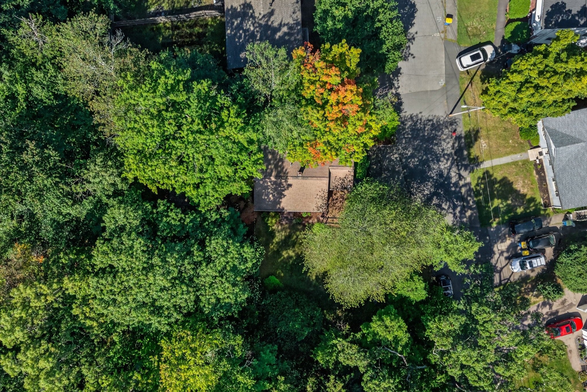 10 Hayward St, Randolph, MA, 10 Hayward St, Randolph, MA Photo #32