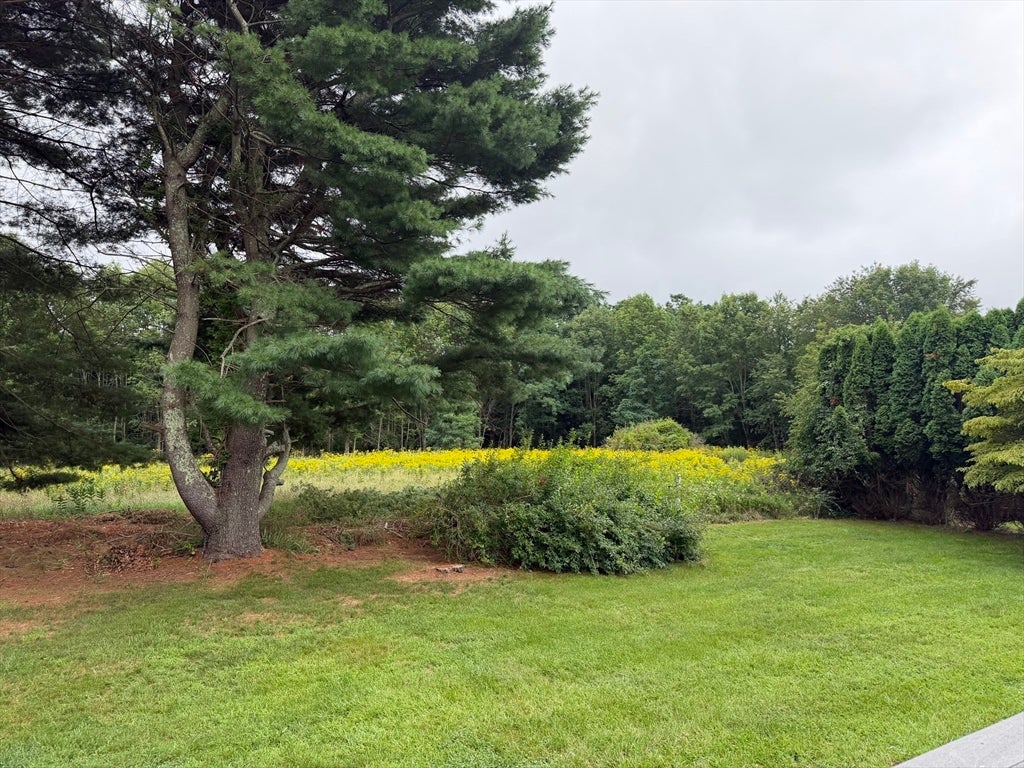 465 Forest St, Dighton, MA Photo #15