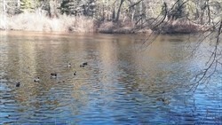 76 River