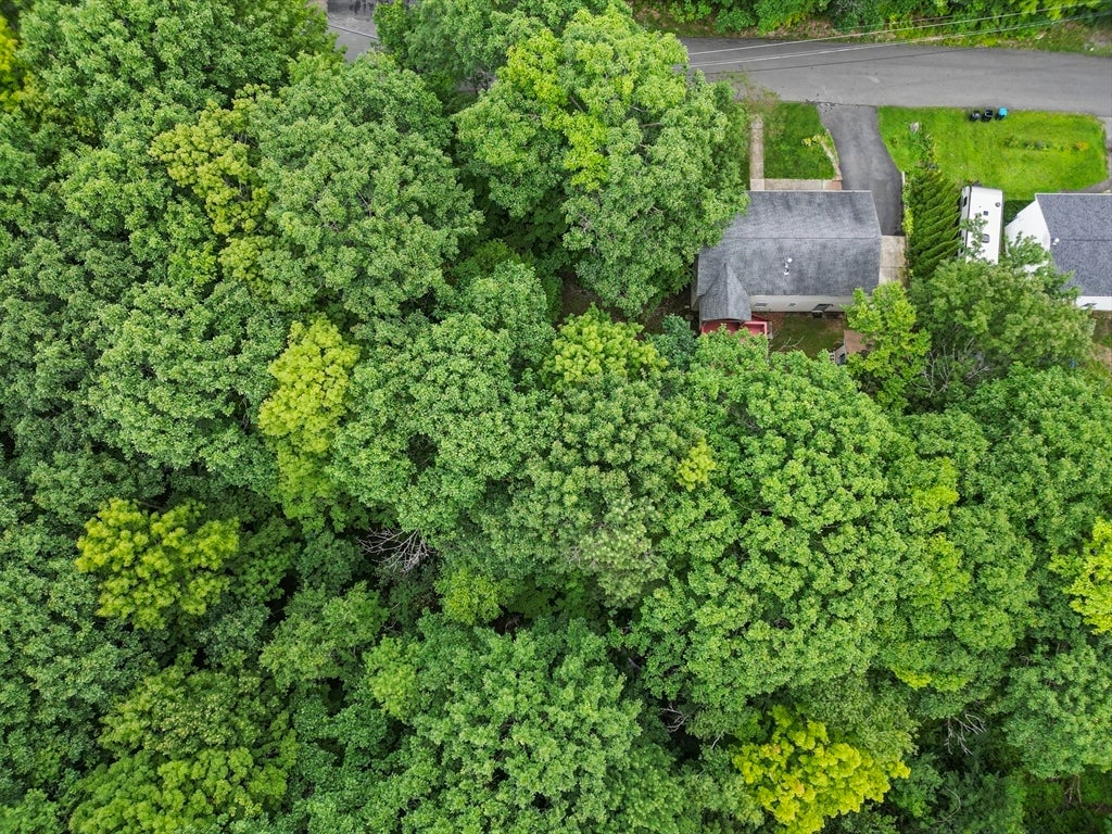 225 Brown St, Pittsfield, MA, 225 Brown St, Pittsfield, MA Photo #10