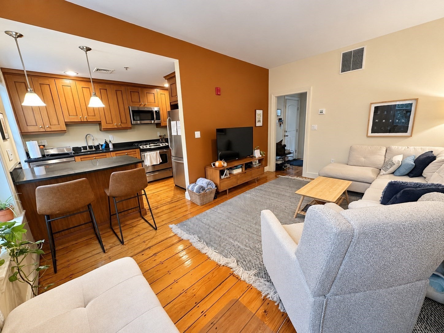 48 East Springfield Street #3, Boston, MA, 48 East Springfield Street #3, Boston, MA Photo #2
