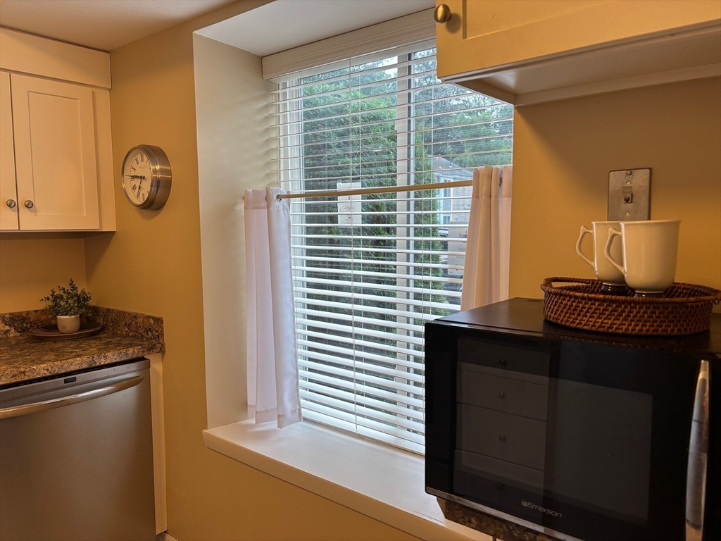 220 Nassau Drive #220, Springfield, MA, 220 Nassau Drive #220, Springfield, MA Photo #9