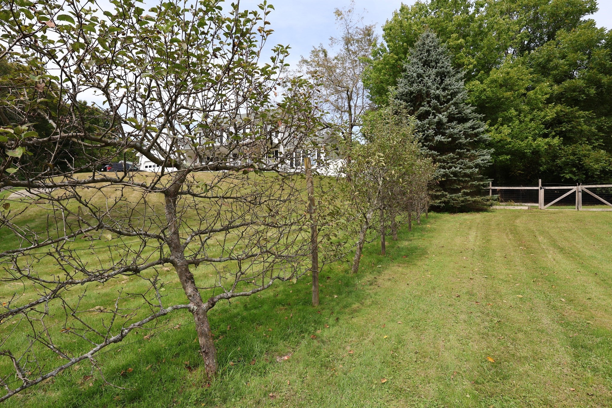 162 Jackson ST, Belchertown, MA, 162 Jackson ST, Belchertown, MA Photo #10