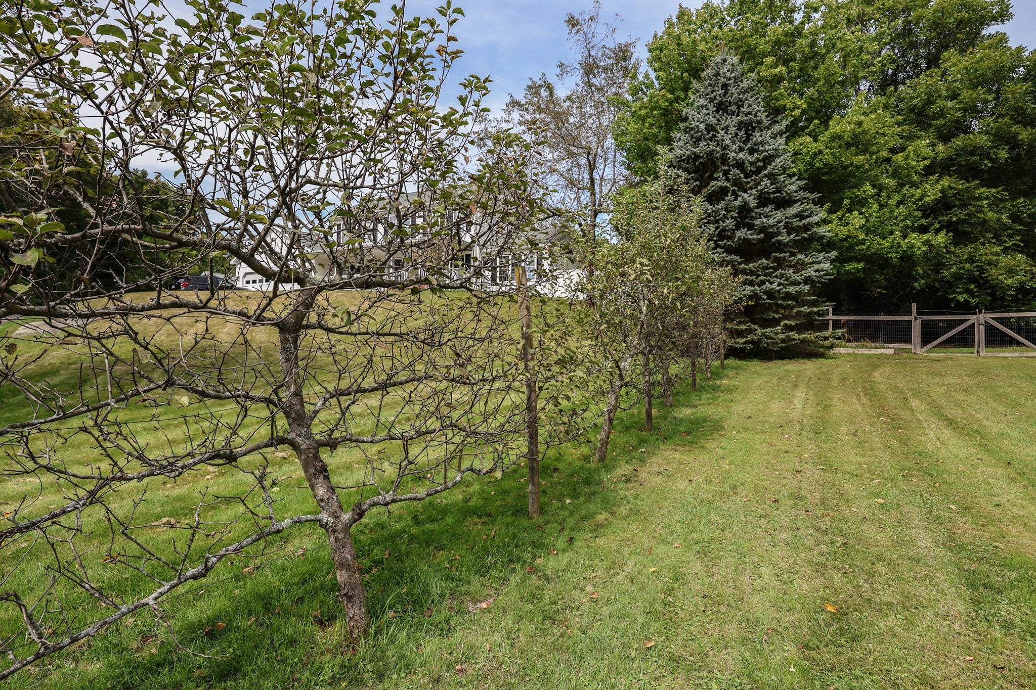 162 Jackson ST, Belchertown, MA, 162 Jackson ST, Belchertown, MA Photo #30