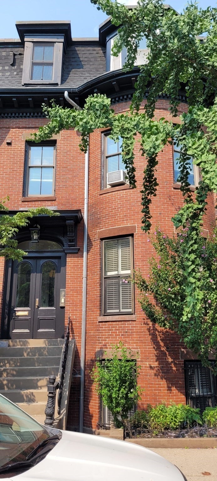 96 E Brookline St 3, Boston MA 02118