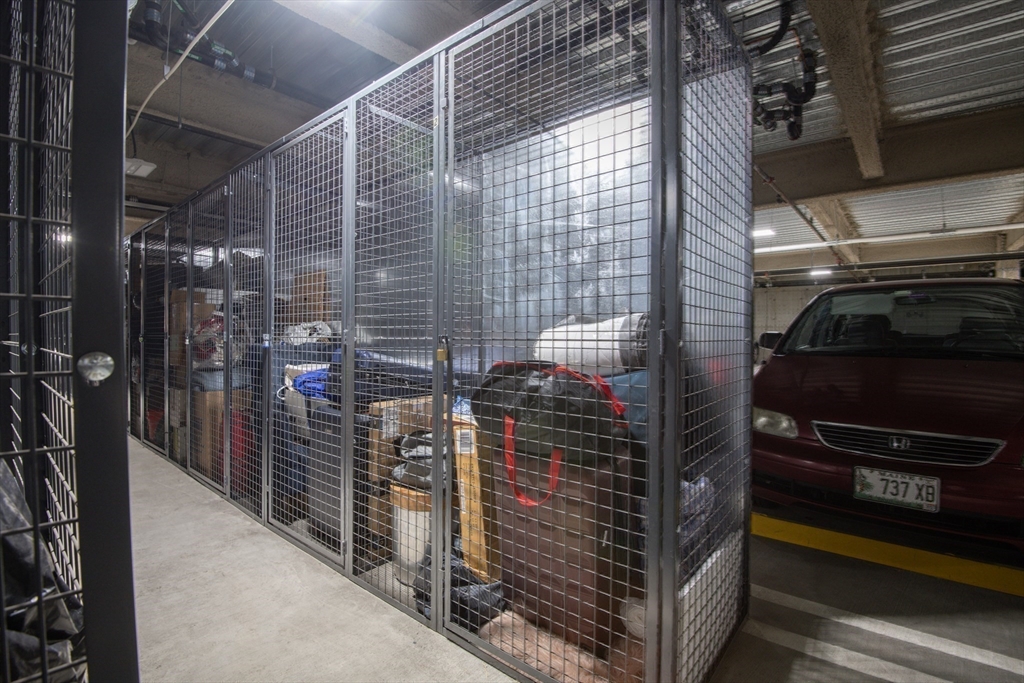 Boston, Massachusetts 02130, United States, 3 Bedrooms Bedrooms, ,2 BathroomsBathrooms,Residential,Active,166128