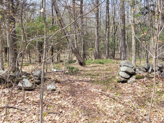3 TOWN HILL RD, SANDISFIELD, MA 01255 - Image f03ea0eece85a54d0536cc3f93b04433/3659045187