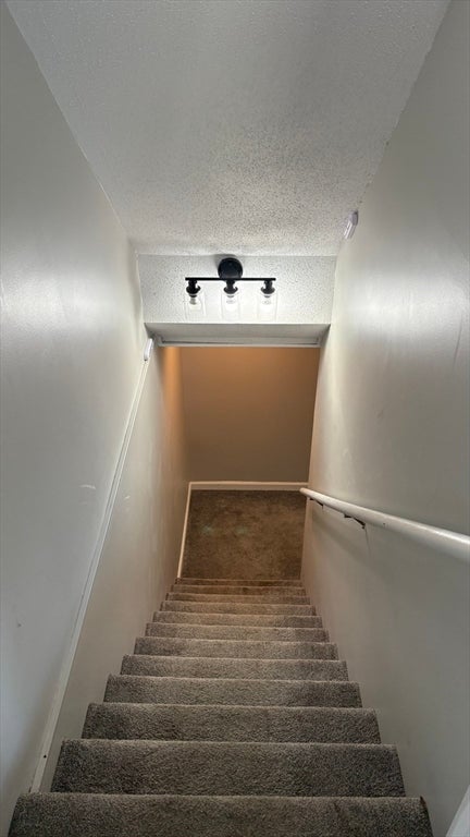 71 Eddywood St, Springfield, MA, 71 Eddywood St, Springfield, MA Photo #25